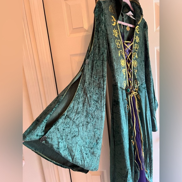 Winifred Sanderson Hocus Pocus Halloween Costume Adult Medium - Picture 3 of 16